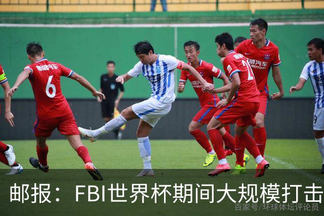 邮报：FBI世界杯期间大规模打击无人机活动，一名非法移民被捕